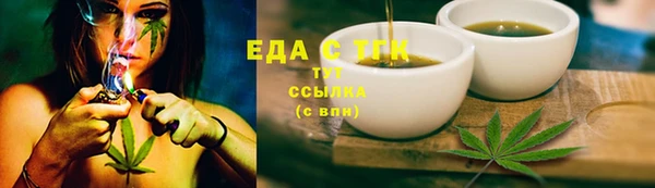 прущие грибы Верхний Тагил