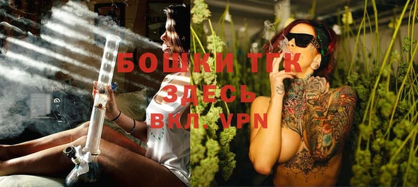 прущие грибы Верхний Тагил