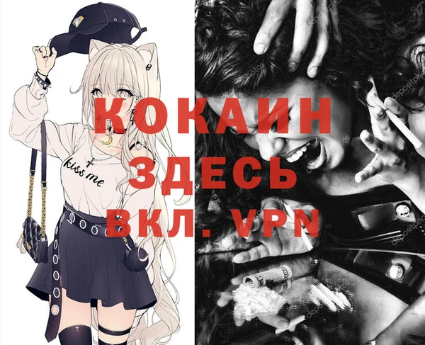 прущие грибы Верхний Тагил
